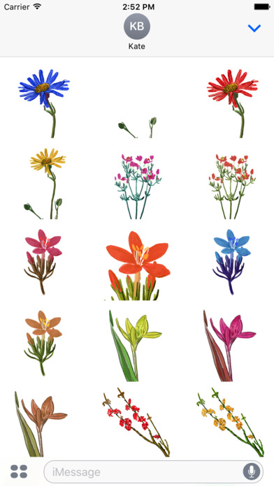 Botanical Flowers Stickers screenshot 2