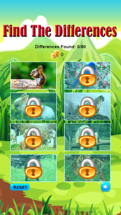 Find and Spot The Differences Photo Zoo Animals screenshot 3