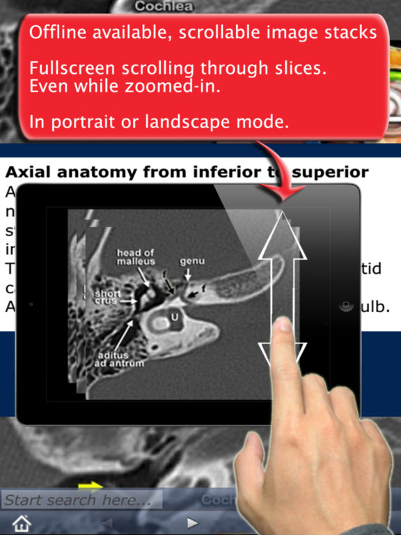 iPad Screenshot 3