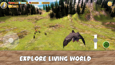 Wild Pigeon Simulator Full screenshot 3
