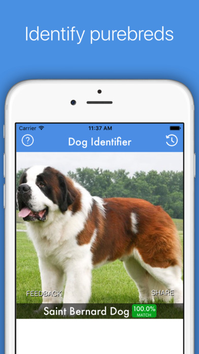 Dog ID - Dog Breed Identifier screenshot 4