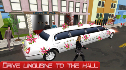 Limo Bridal Parking Simulator screenshot 2