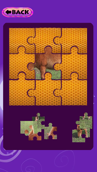 Jigsaw Puzzles Games Pony Unicorn Version screenshot 3