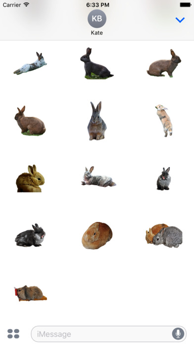 Rabbit photo sticker screenshot 4