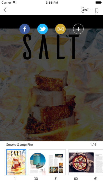 SALT - A Pinch Of Good Taste screenshot 2