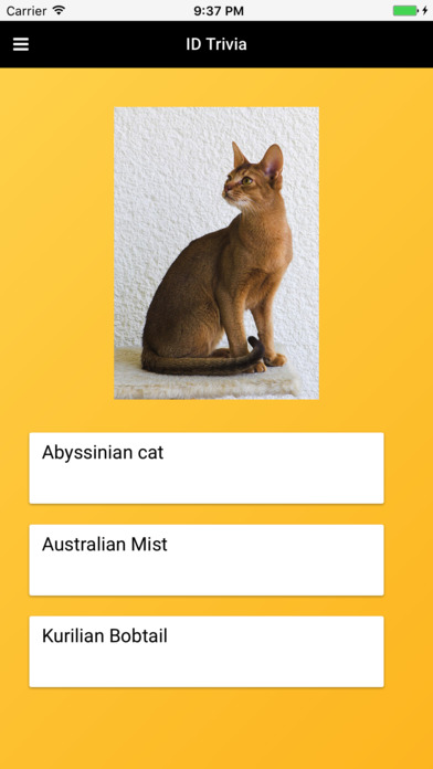 Cat Breeds: Types of Cat screenshot 4