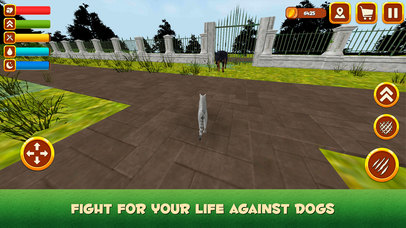 House Cat Life Simulator 3D screenshot 4
