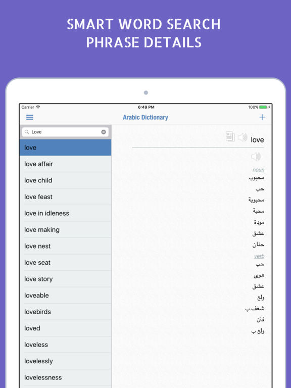 iPad Screenshot 2