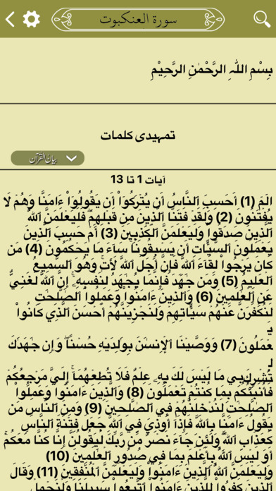 Bayan-ul-Quran Dr Israar Ahmad screenshot 3