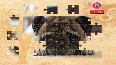 Dog Jigsaw Puzzles - Activities for Family screenshot 2