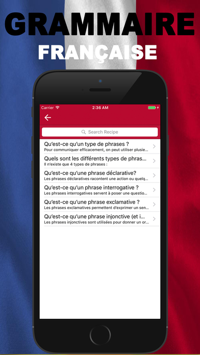 Grammaire Francaise screenshot 3