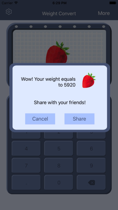 Weight Convert Pro – Cute Converter For Fun! screenshot 2