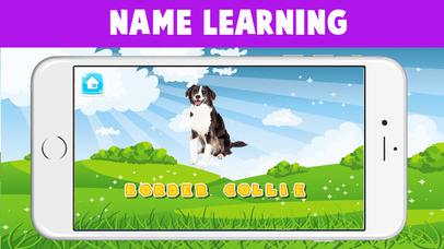 World Popular Dog Breeds Name Preschool Learning screenshot 2