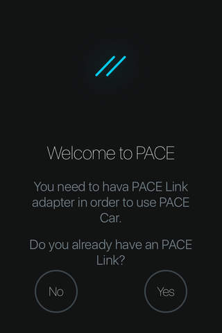 PACE Car screenshot 3