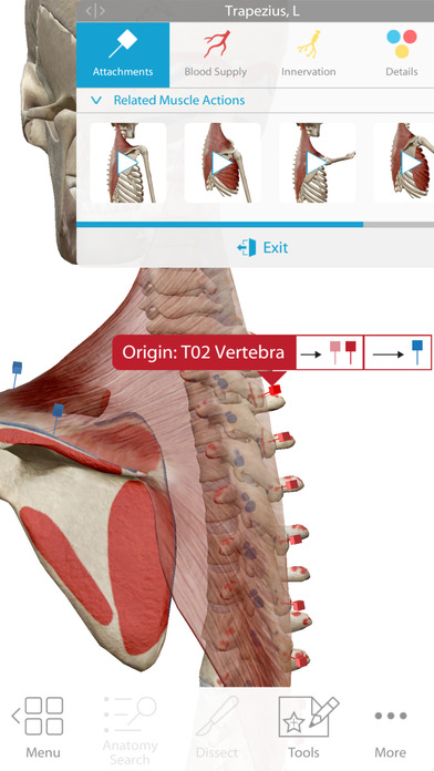 Human Anatomy Atlas 2018 Edition 앱스토어 스크린샷