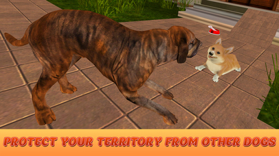 Corgi Stray Dog Simulator screenshot 3