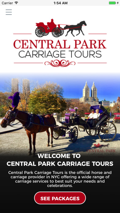 Central Park Carriage Tours screenshot 2