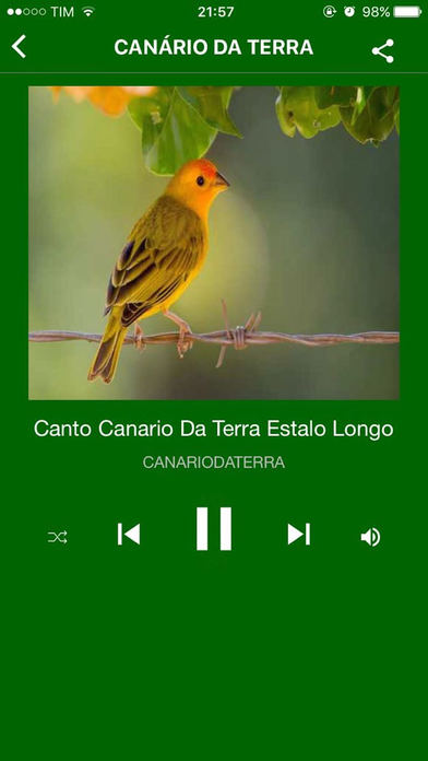 Cantos das Aves -Sons Pássaros screenshot 3