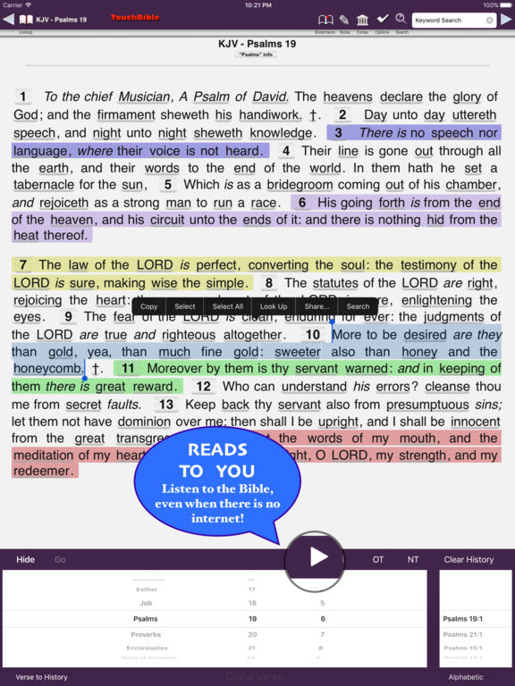 iPad Screenshot 1