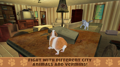 Guinea Pig Simulator Game screenshot 2