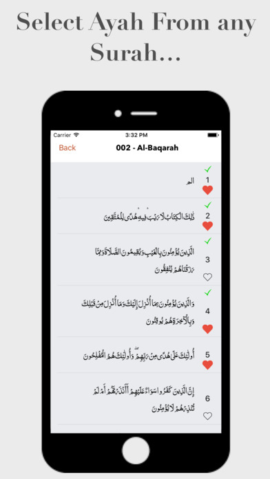eHafiz Quran screenshot 3