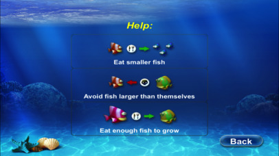 Fish Feeding 2022 screenshot 2