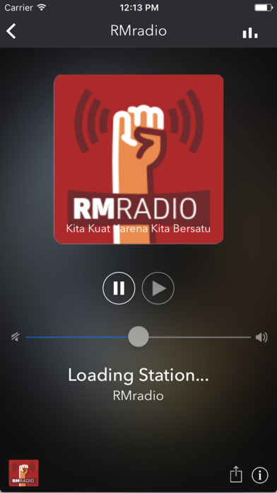 RMradio screenshot 4