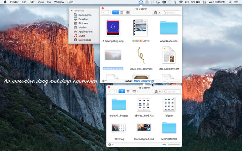 File_Cabinet_Pro.app caprure 4 4_File_Cabinet_Pro.jpg