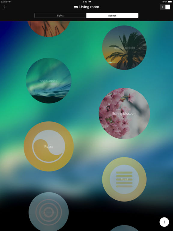 iPad Screenshot 2