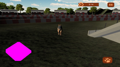 3D宠物动物冠军 screenshot 2