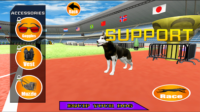 Dog Racer Simulation 2017 screenshot 3
