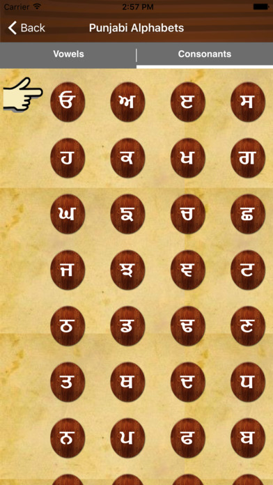 Learn-Punjabi-Language screenshot 2