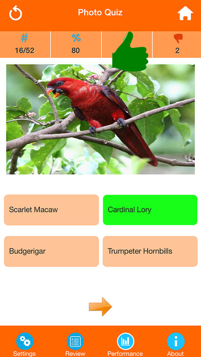 Animals : Wild Birds Quiz screenshot 2