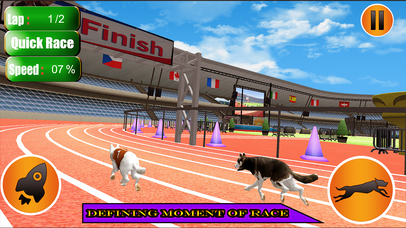Dog Racer Simulation 2017 screenshot 2
