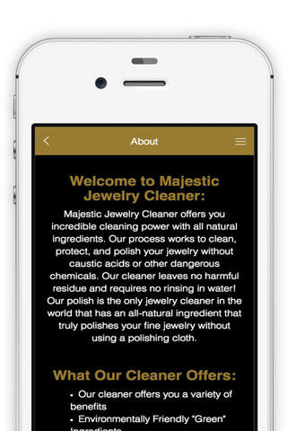 Majestic Jewelry Cleaner screenshot 2