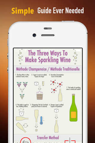 Champagne 101:Tips and Tutorial screenshot 2