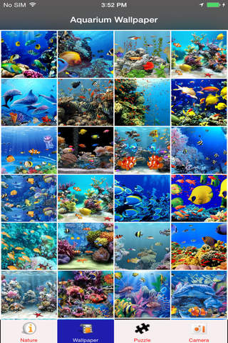 Aquarium Wallpaper Fish Tank Frame screenshot 2