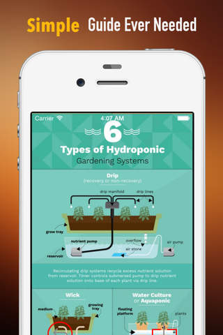 Hydroponics For Beginners :Guide and Tips screenshot 2