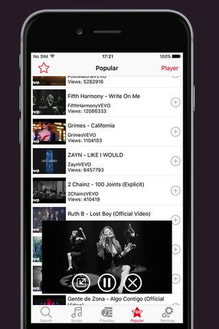 Free Video Player - Playlist Manager. Edition screenshot 2