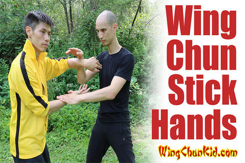 Tai Chi Meditation Hybrid Martial Arts screenshot 4