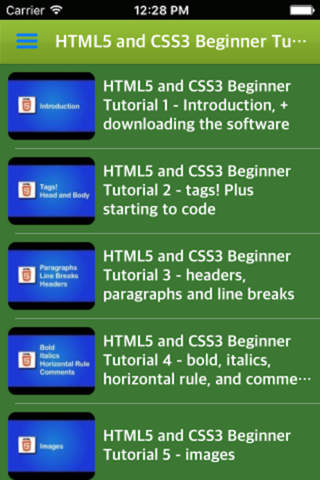 Learn HTML5 & CSS3 Editor screenshot 3