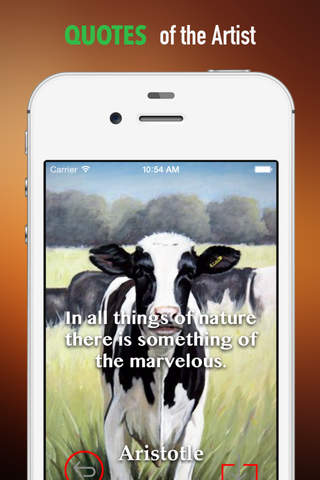 Cows Wallpapers HD: Quotes Backgrounds with Art Pictures screenshot 4