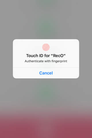 RecO - the simplest recorder screenshot 4