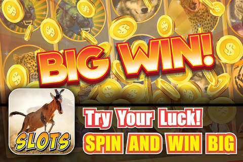 Dangerous Savanna Slots - Play Free Casino Slot Machine! screenshot 3