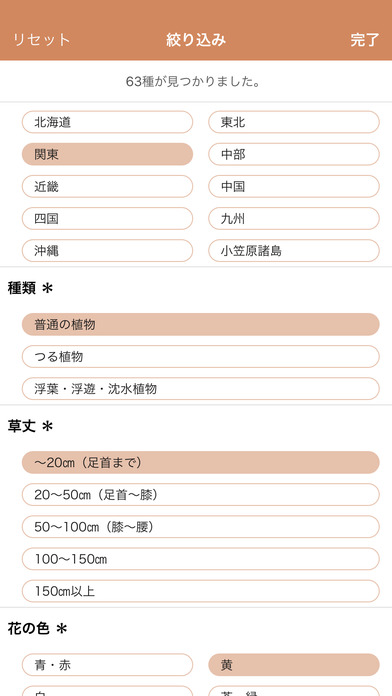 iPhone Screenshot 4