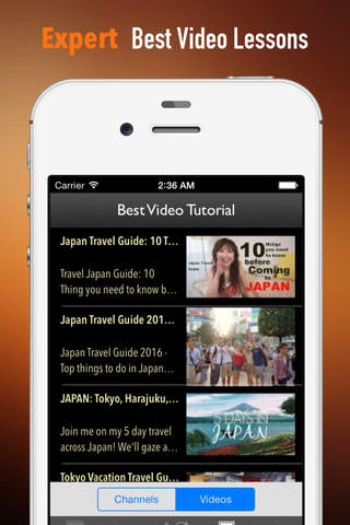 Japan Travel:Guide and Tips screenshot 3