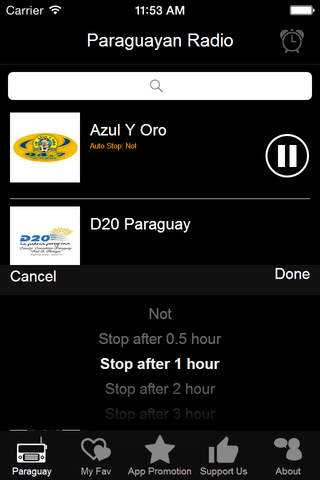 Paraguayan Radio screenshot 2