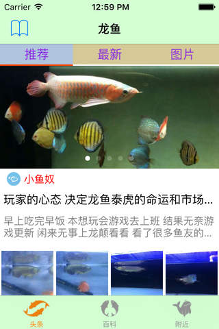 龙府鱼宫 screenshot 4