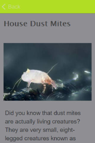 How To Get Rid Of Dust Mites screenshot 3