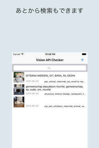 Vision API Checker screenshot 2